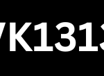 VK1313
